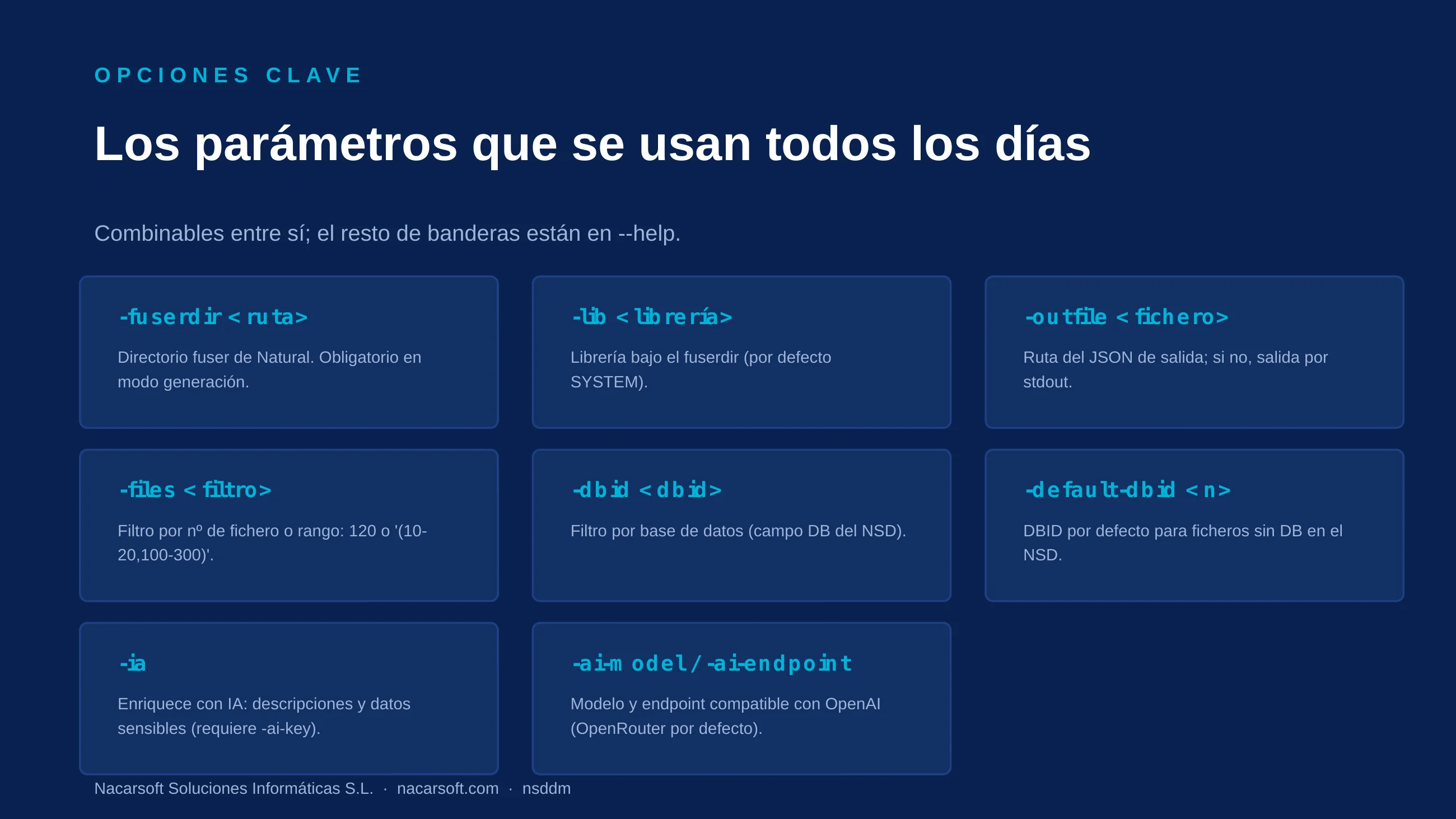 NSDdm — diapositiva 8