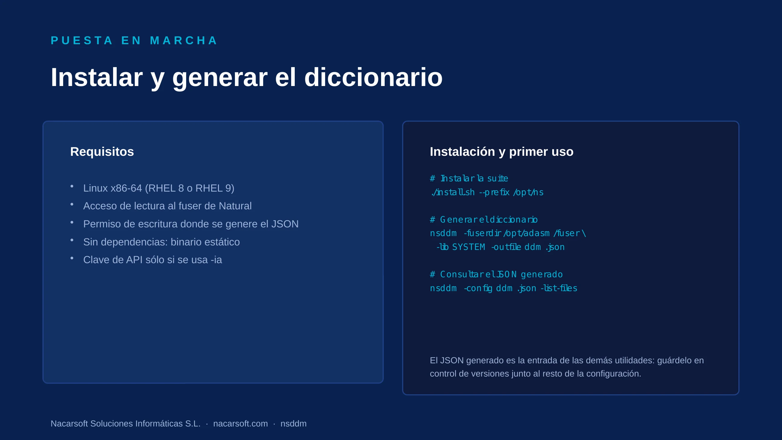 NSDdm — diapositiva 10