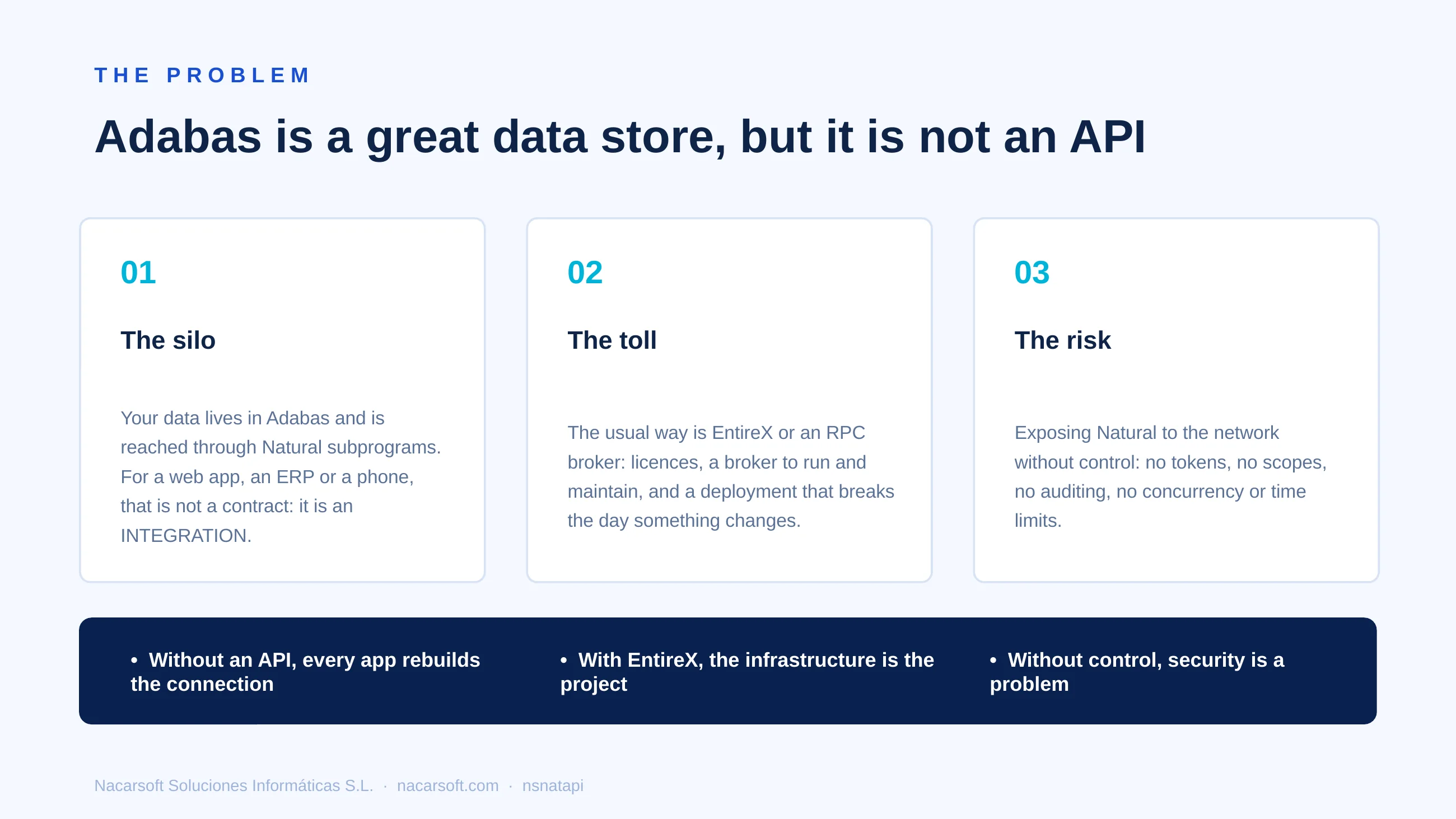 NSNatAPI — diapositiva 2