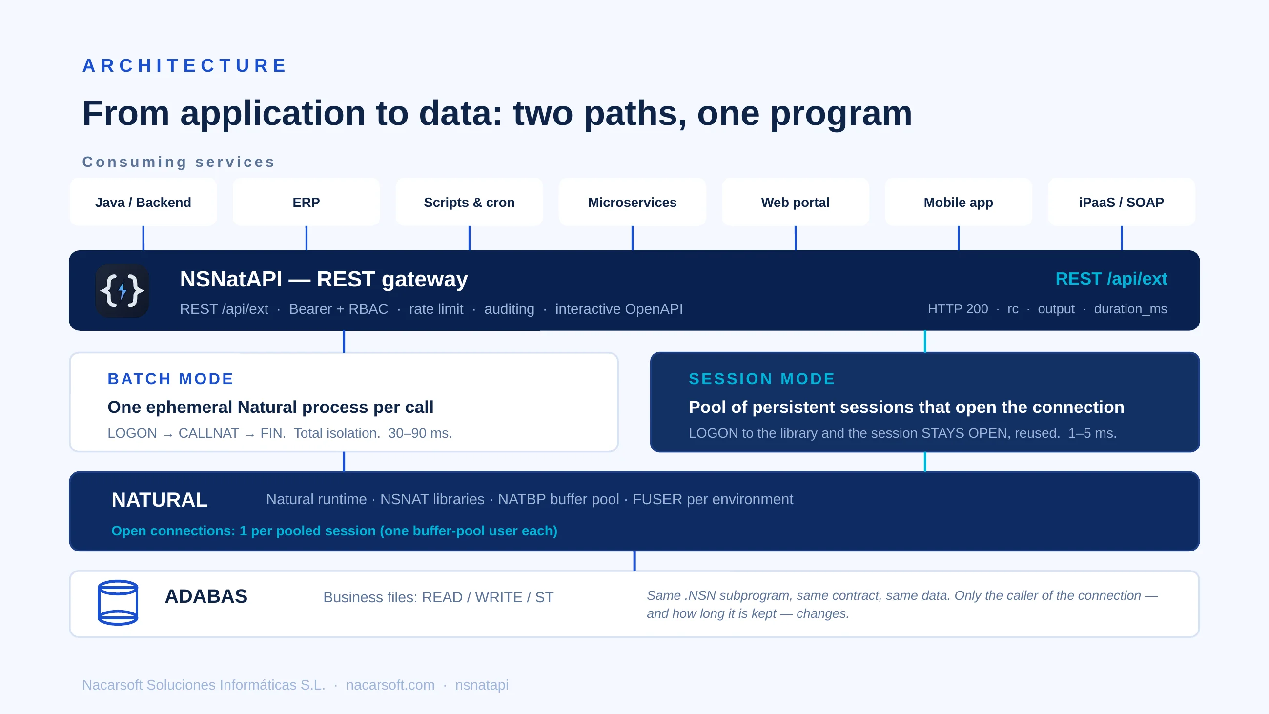 NSNatAPI — diapositiva 4